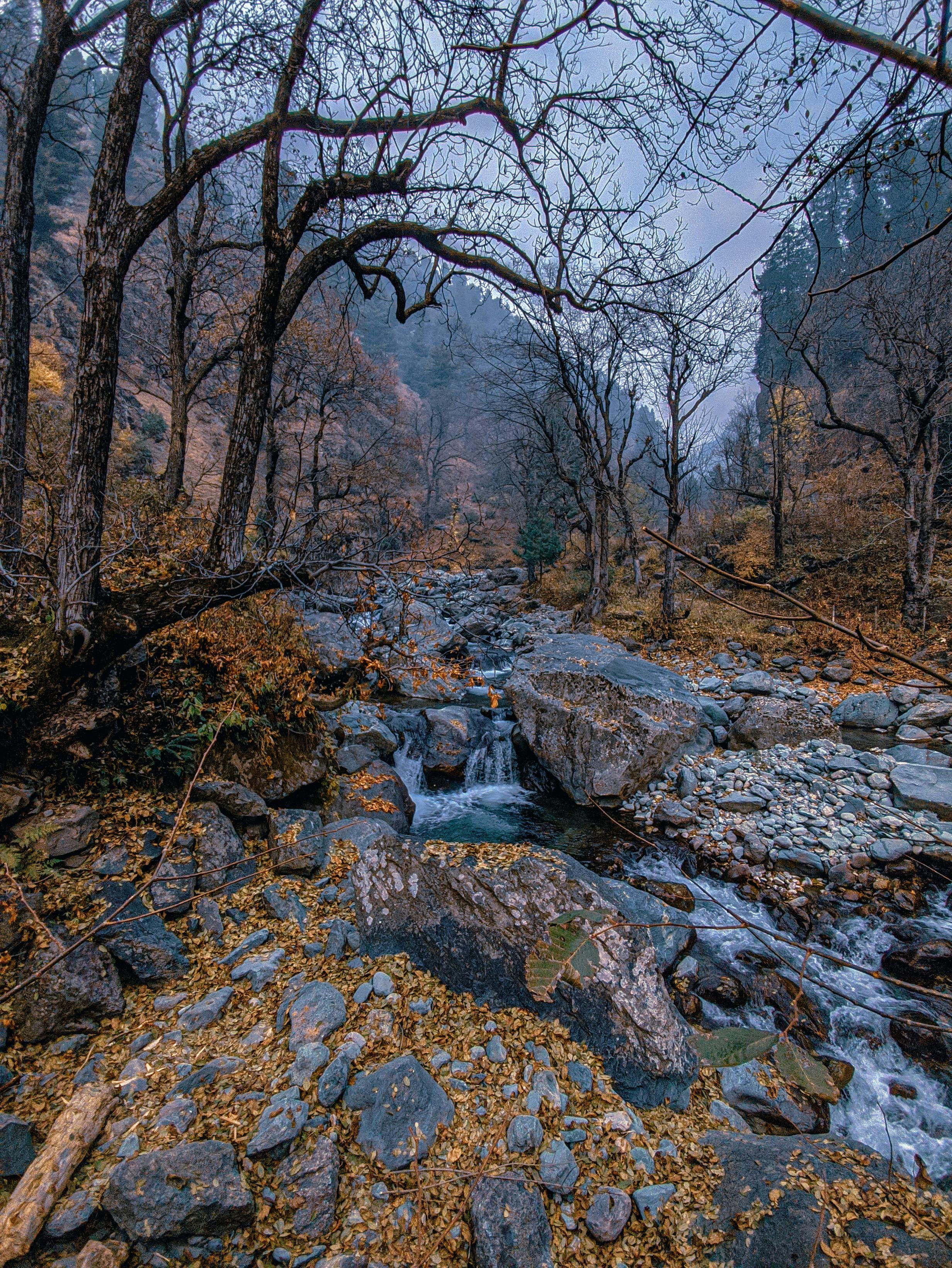 Kashmir Legacy Travels