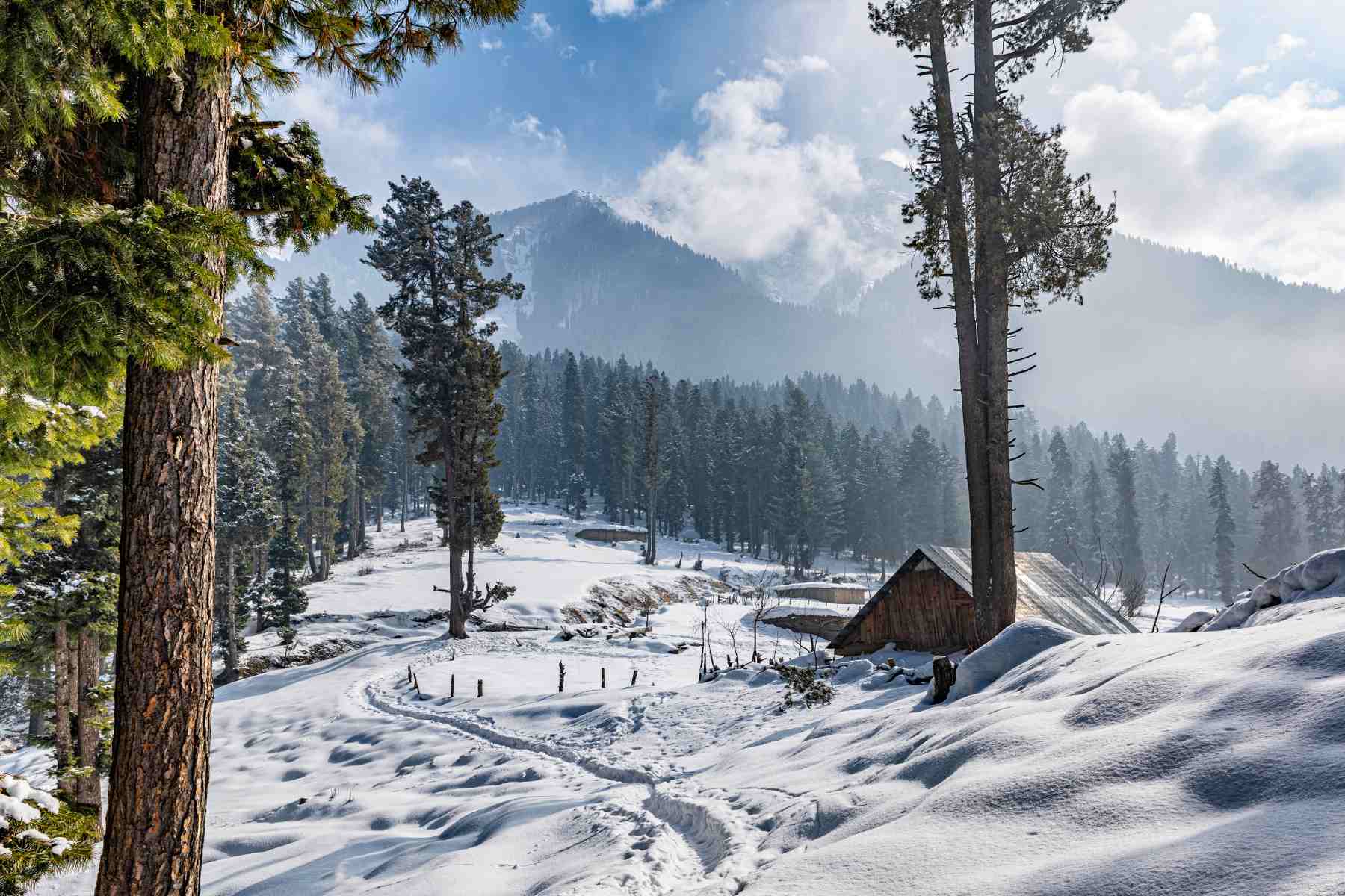 Pahalgam Kashmir